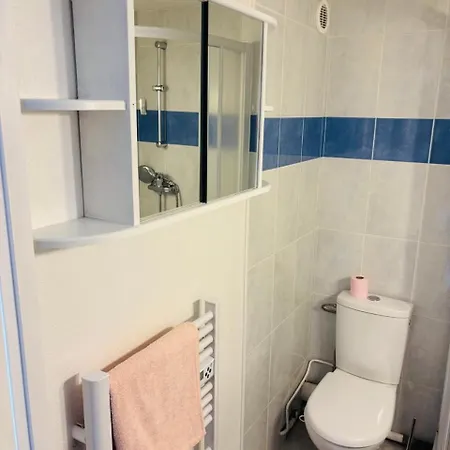 Apartment Duplex Cosy Neuf - Wifi - Balcon - En Bordure De Foret De Pins - Proche *