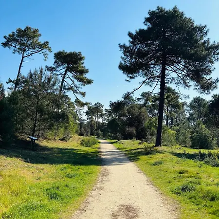Duplex Cosy Neuf - Wifi - Balcon - En Bordure De Foret De Pins - Proche Daire Saint-Jean-de-Monts
