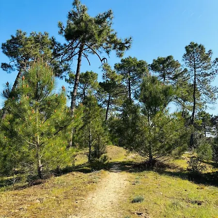 Duplex Cosy Neuf - Wifi - Balcon - En Bordure De Foret De Pins - Proche Apartment *