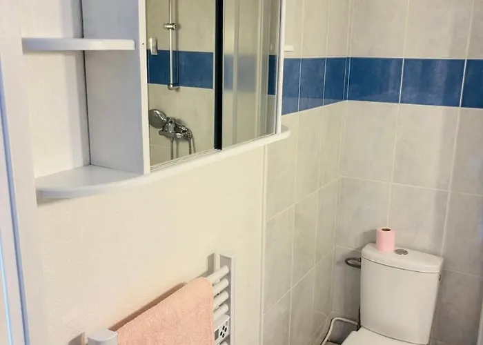 Apartamento Duplex Cosy Neuf - Wifi - Balcon - En Bordure De Forêt De Pins - Proche *